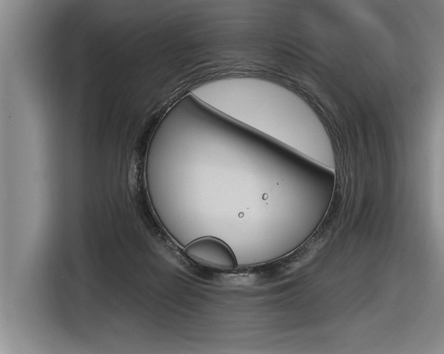 X0000116560266200912100949