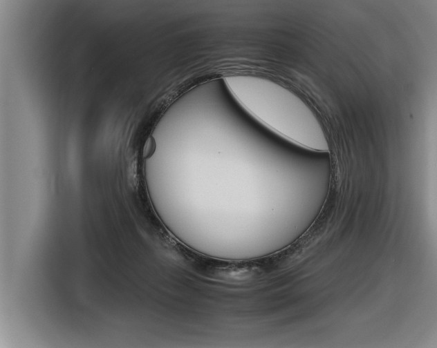 X0000116560267200912100949