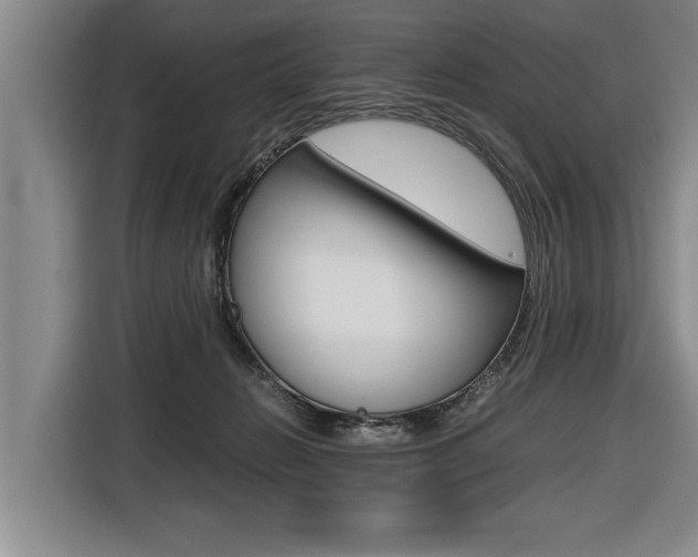 X0000116560270200912100949