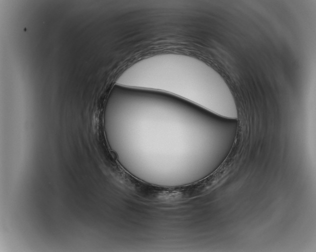 X0000116560271200912100949