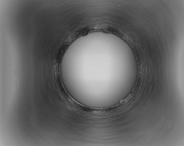 X0000116560272200912100949