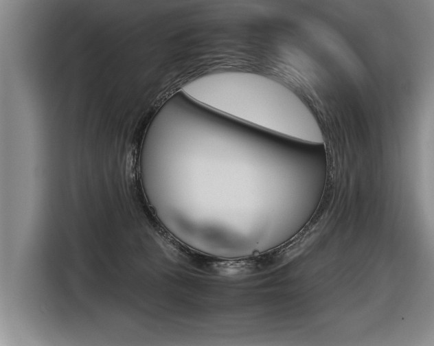 X0000116560273200912100949