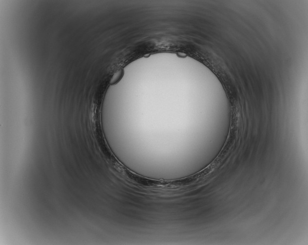 X0000116560275200912100949