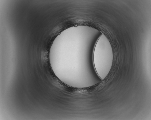 X0000116560278200912100949
