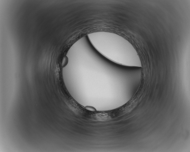 X0000116560279200912100949