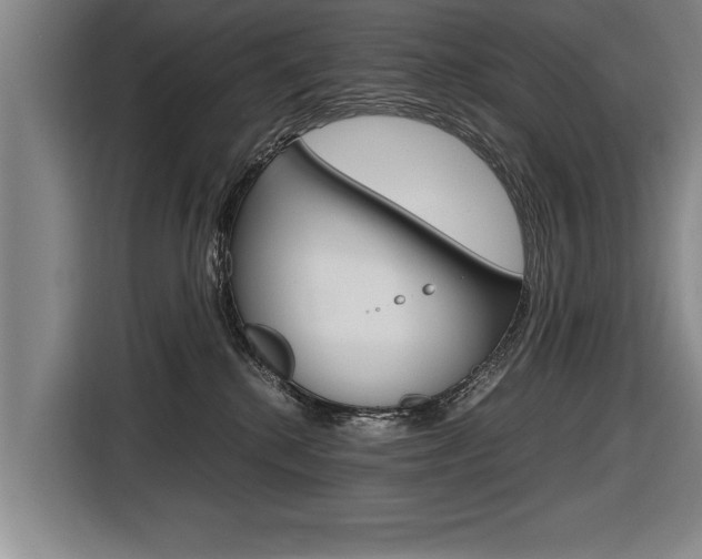 X0000116560280200912100949