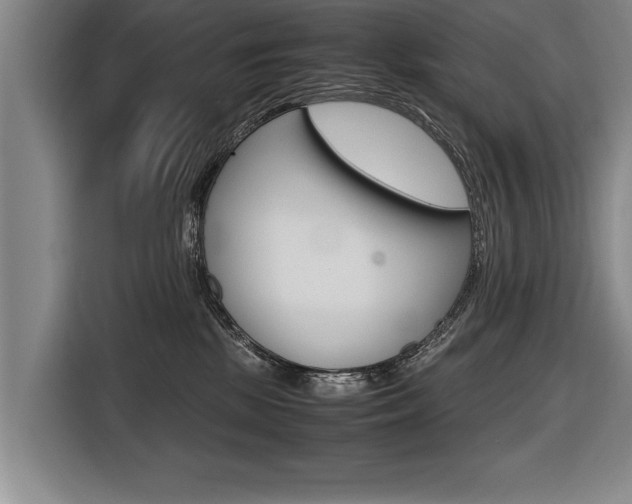 X0000116560281200912100949