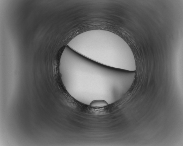 X0000116560283200912100949