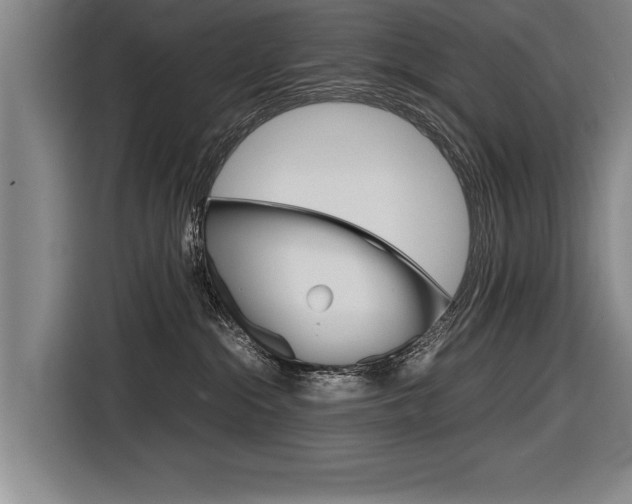 X0000116560284200912100949