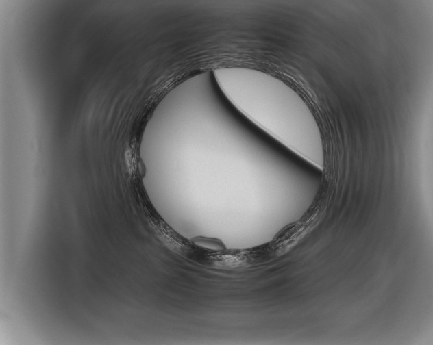 X0000116560285200912100949