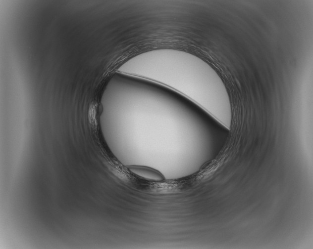 X0000116560286200912100949