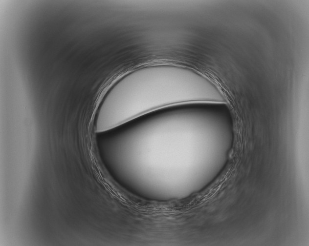 X0000116560289200912100949
