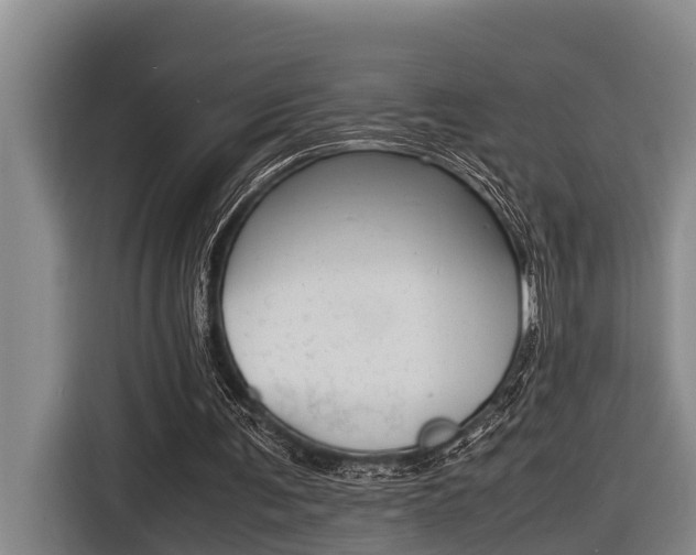 X0000116560291200912100949
