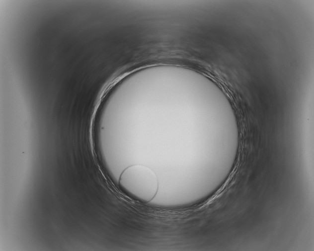 X0000116560294200912100949