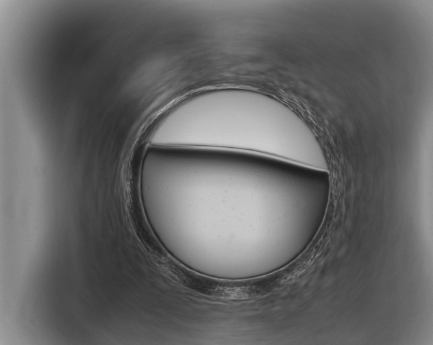 X0000116560295200912100949