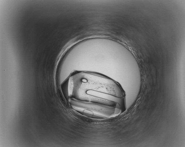 X0000116560296200912100949