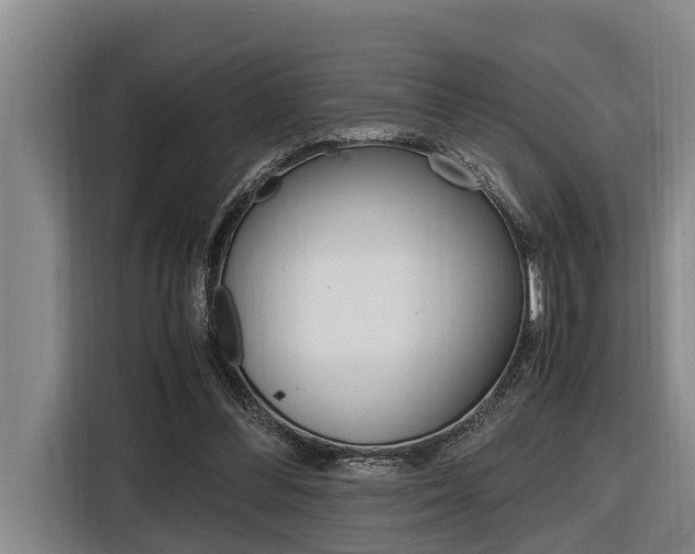 X0000116560300200912100949