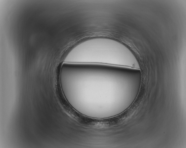 X0000116560303200912100949