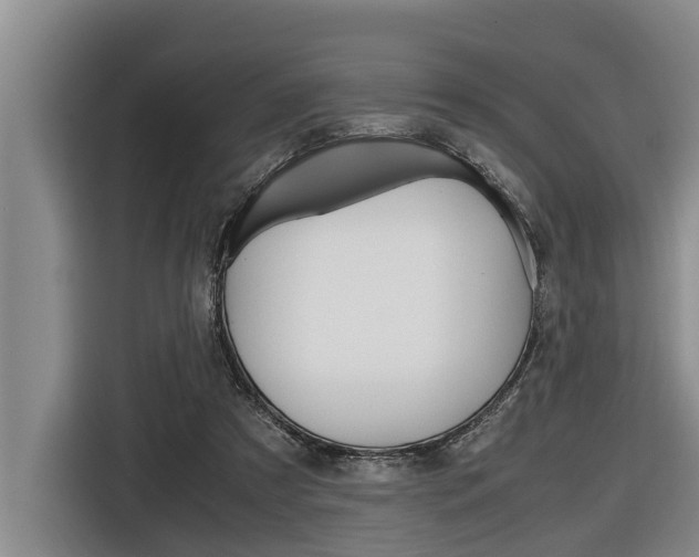 X0000116560305200912100949