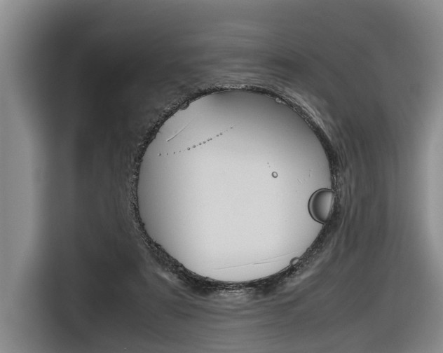 X0000116560307200912100949