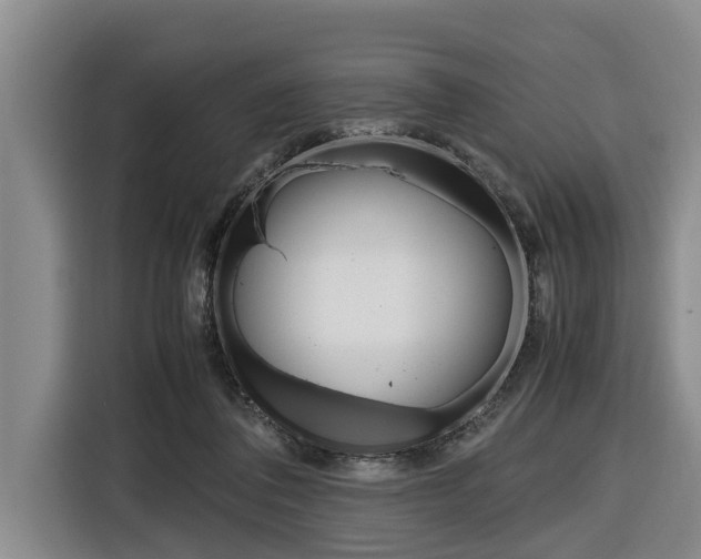 X0000116560308200912100949