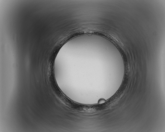 X0000116560311200912100949