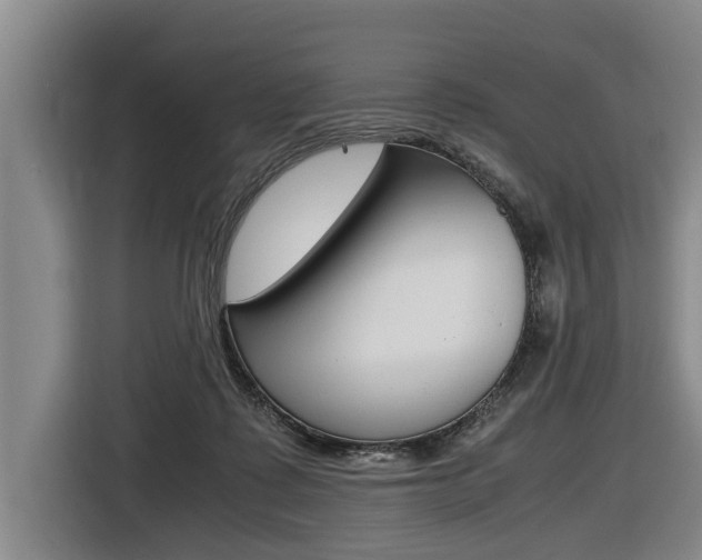 X0000116560315200912100948