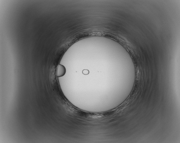X0000116560318200912100948