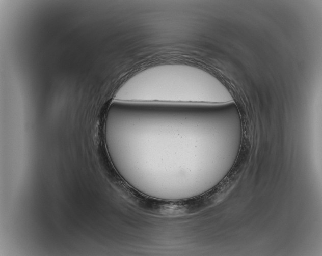 X0000116560319200912100948
