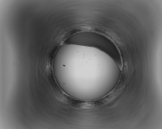 X0000116560320200912100948