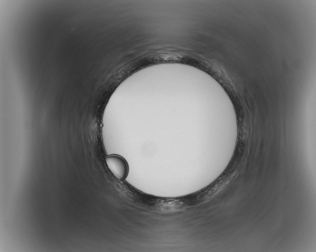 X0000116560321200912100948