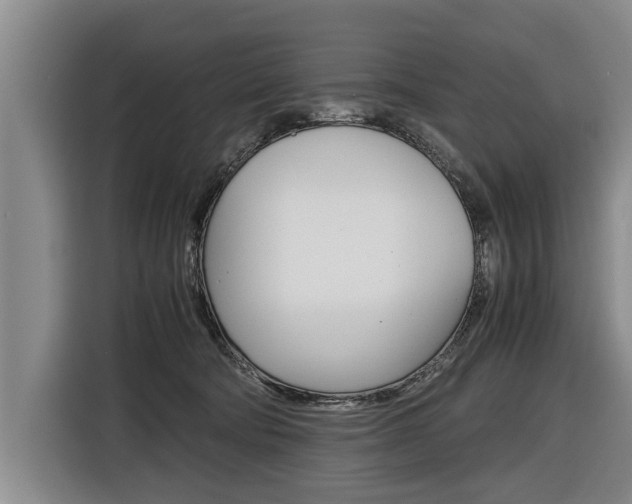 X0000116560322200912100948