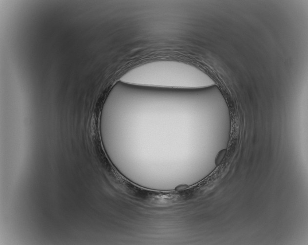 X0000116560323200912100948