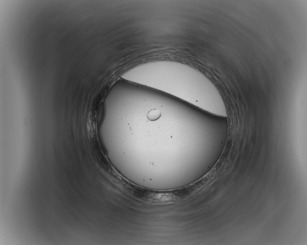 X0000116560324200912100948