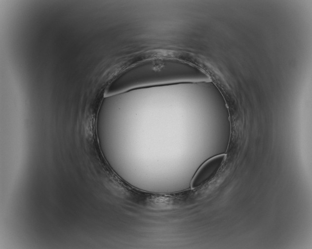 X0000116560325200912100948