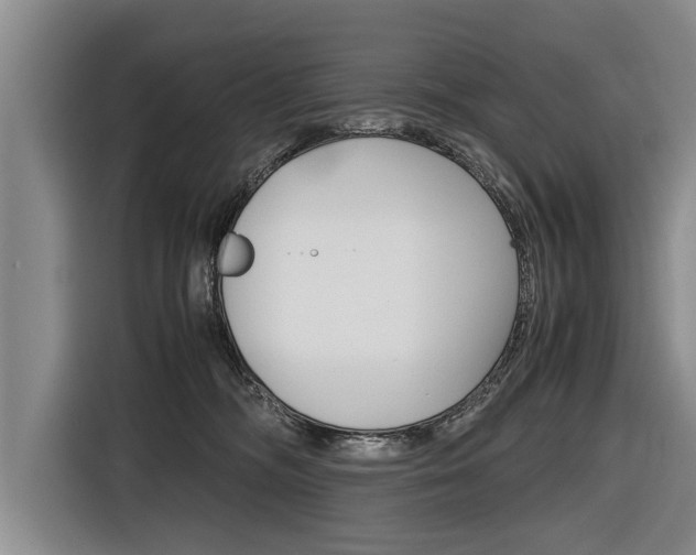 X0000116560326200912100948
