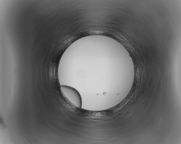 X0000116560330200912100948