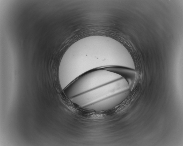 X0000116560332200912100948