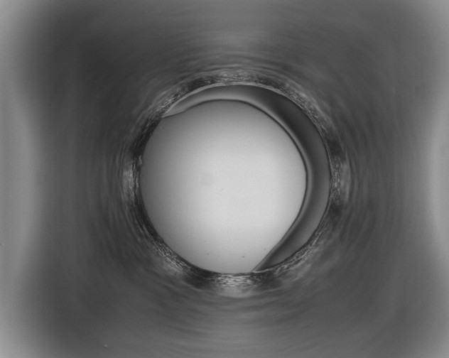 X0000116560333200912100948