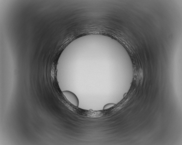 X0000116560334200912100948