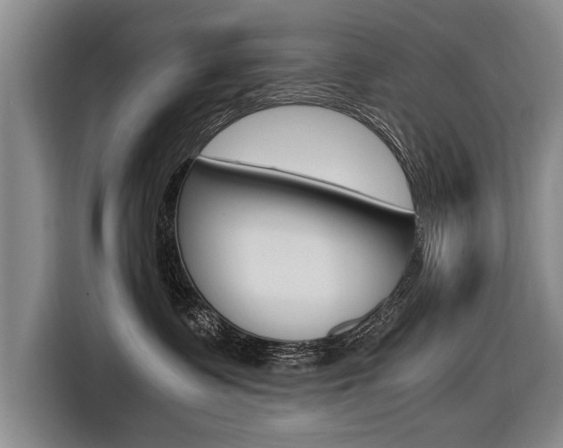 X0000116560335200912100948