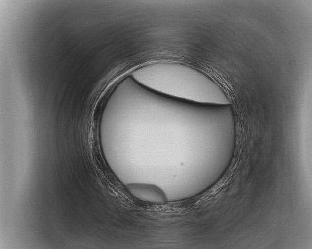 X0000116560338200912100948