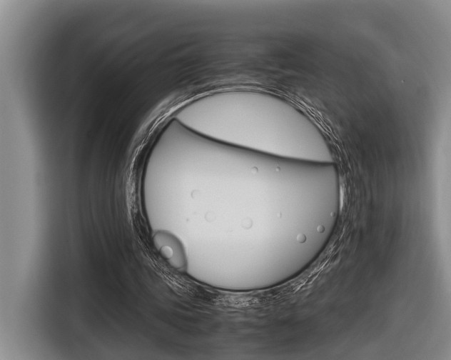 X0000116560339200912100948