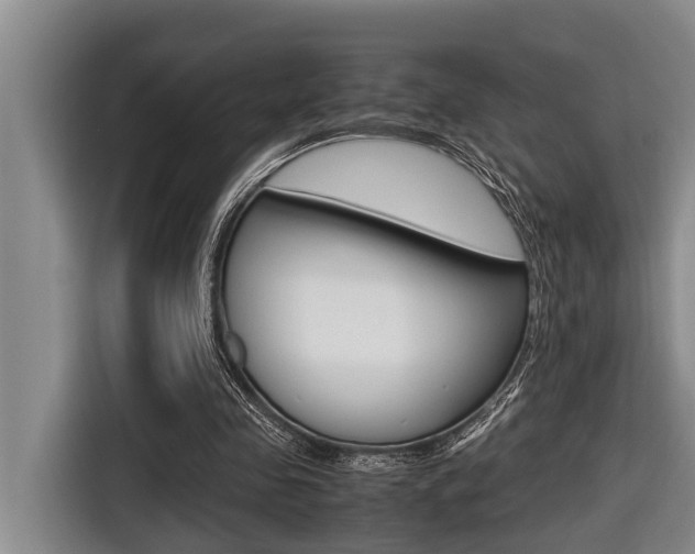X0000116560341200912100948