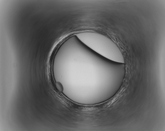 X0000116560342200912100948