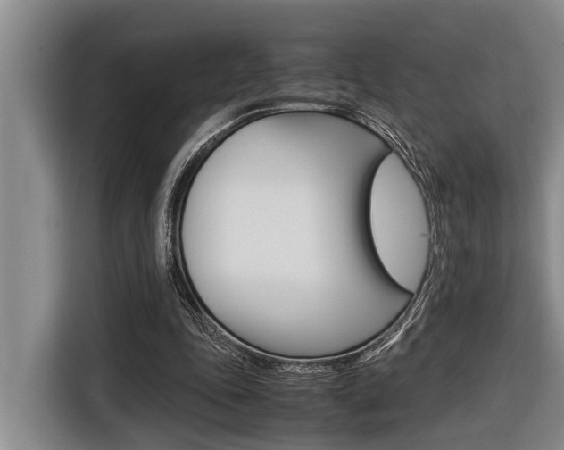 X0000116560343200912100948