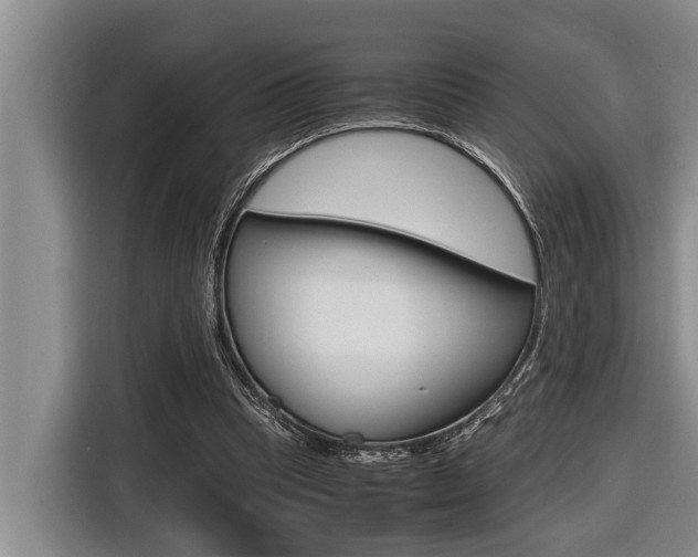X0000116560345200912100948