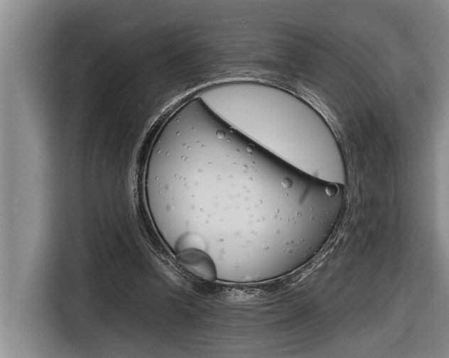 X0000116560346200912100948