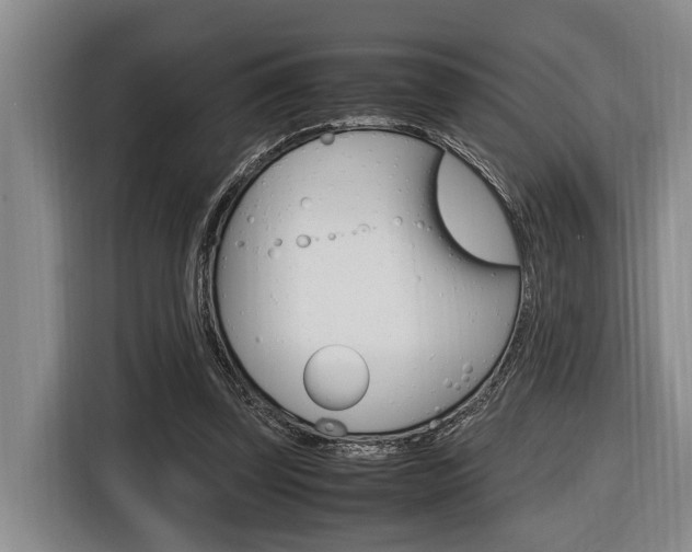 X0000116560347200912100948