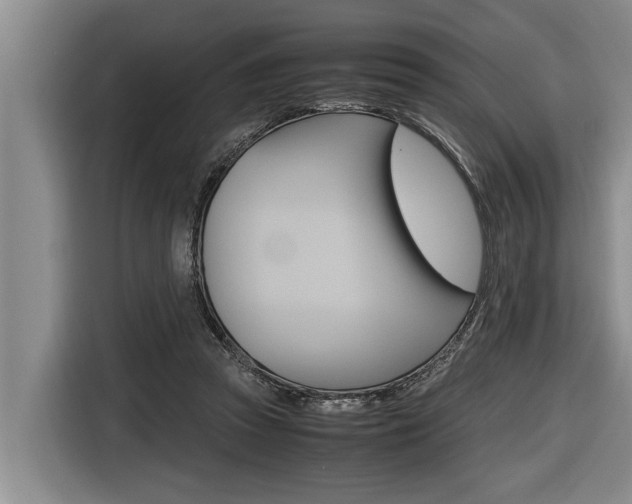 X0000116560353200912100948